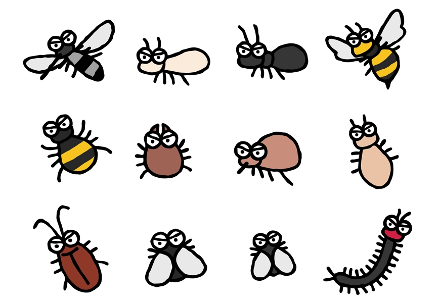 Seasonal Pest Problem in Northeast Ohio